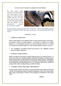 pusiauziemis
