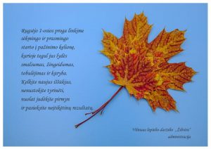 rugsejo-1